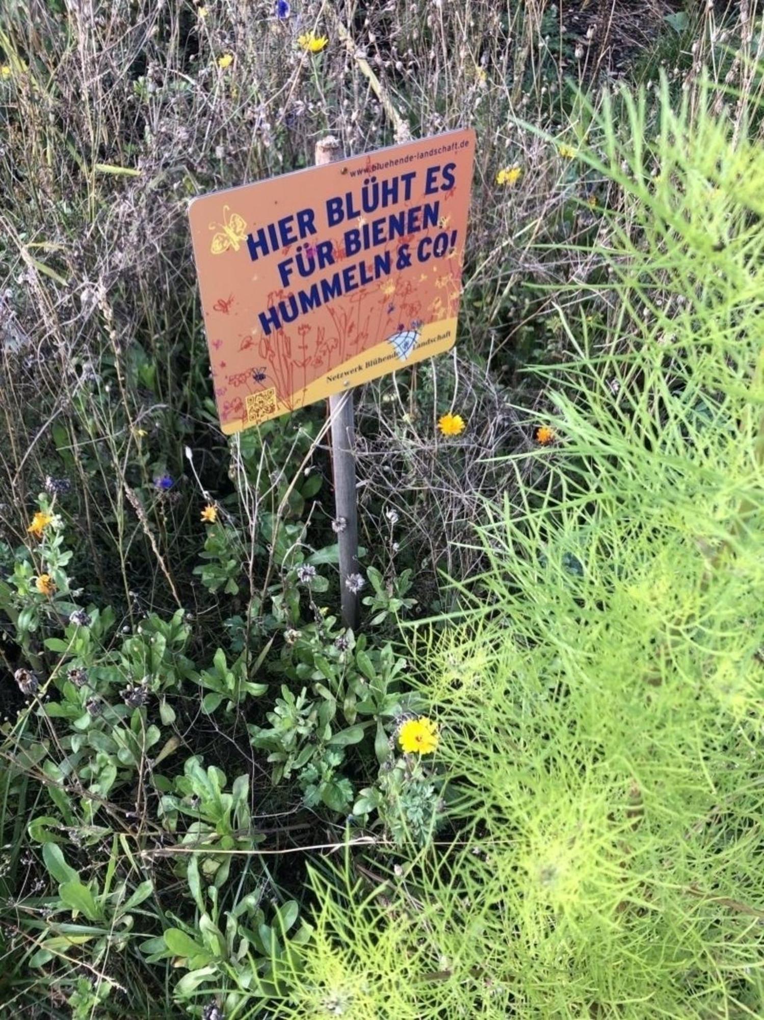 Meeresperle 4 Meerjungfrau Klutz Dış mekan fotoğraf